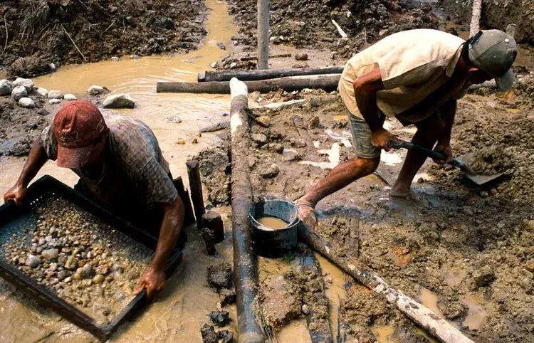 Image para las estadisticas